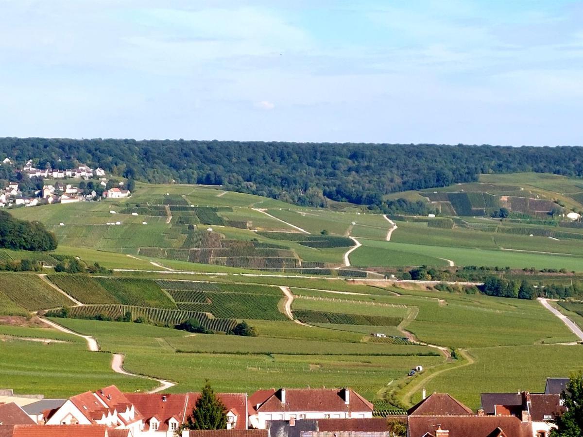 Apartamento Epernay Capital de Champagne Exterior foto